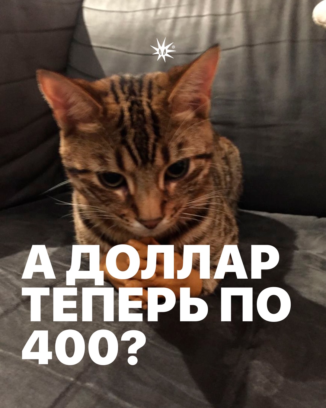 Слайд 5
